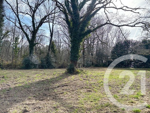 terrain à vendre - 7711.0 m2 - MIOS - 33 - AQUITAINE - Century 21 Duprat & Associés