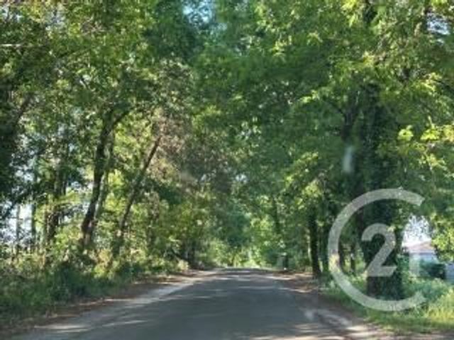 maison à vendre - 4 pièces - 80.4 m2 - BIGANOS - 33 - AQUITAINE - Century 21 Duprat & Associés