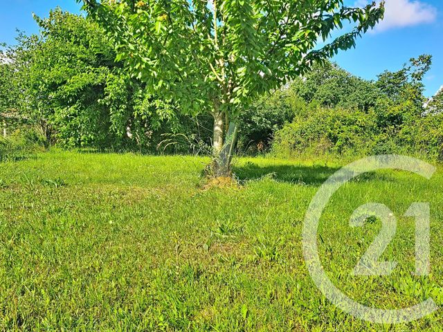terrain à vendre - 530.0 m2 - BIGANOS - 33 - AQUITAINE - Century 21 Duprat & Associés