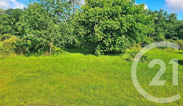 terrain à vendre - 530.0 m2 - BIGANOS - 33 - AQUITAINE - Century 21 Duprat & Associés