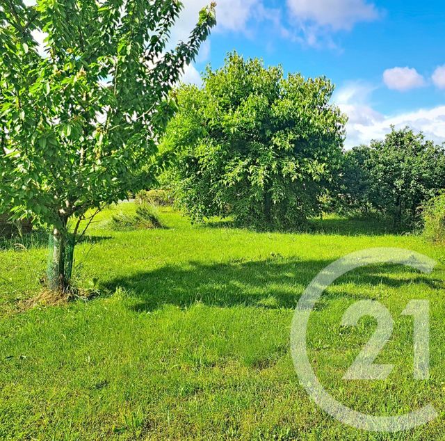 terrain à vendre - 530.0 m2 - BIGANOS - 33 - AQUITAINE - Century 21 Duprat & Associés