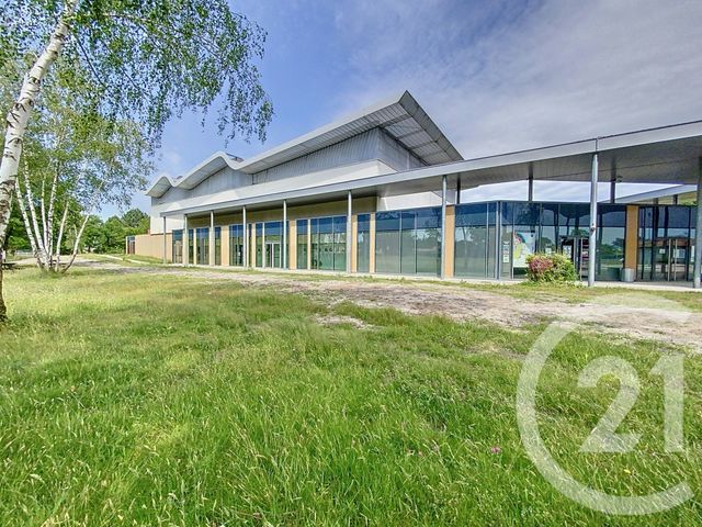terrain à vendre - 550.0 m2 - MARCHEPRIME - 33 - AQUITAINE - Century 21 Duprat & Associés