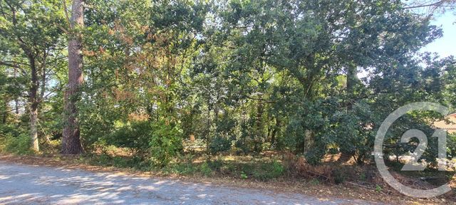 terrain à vendre - 1285.0 m2 - MARCHEPRIME - 33 - AQUITAINE - Century 21 Duprat & Associés