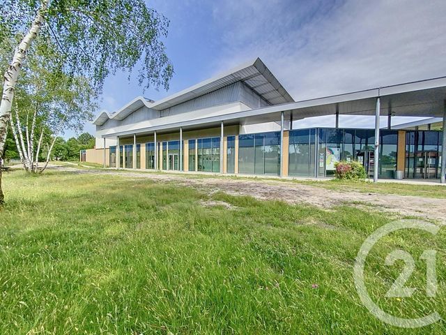 terrain à vendre - 1285.0 m2 - MARCHEPRIME - 33 - AQUITAINE - Century 21 Duprat & Associés