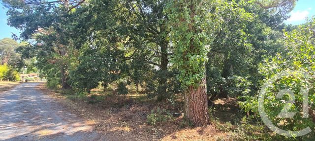 terrain à vendre - 1285.0 m2 - MARCHEPRIME - 33 - AQUITAINE - Century 21 Duprat & Associés