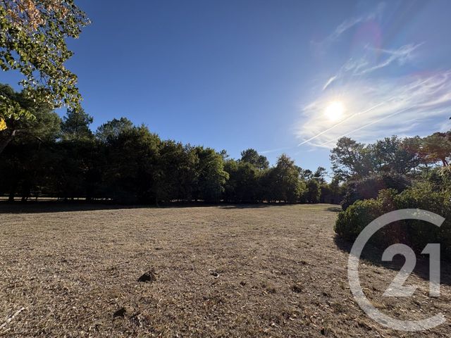 maison à vendre - 7 pièces - 325.0 m2 - SAUGNACQ ET MURET - 40 - AQUITAINE - Century 21 Duprat & Associés