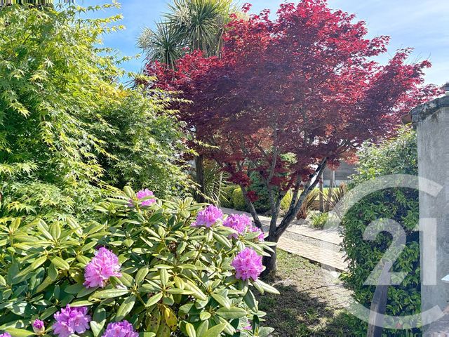 maison à vendre - 9 pièces - 180.42 m2 - BIGANOS - 33 - AQUITAINE - Century 21 Duprat & Associés